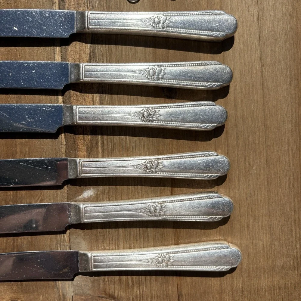Memory-Hiawatha by WM Rogers/INTERNATIONALSILVER 6‎ Knifes, Salad Forks, Spoons